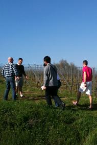 Lieu-Dit Schoffweg, Schoffweg, 1er Cru Schoffweg, Alsace 1er Cru, Domaine Marcel Deiss, Marcel Deiss, Jean-Michel Deiss, Bergheim